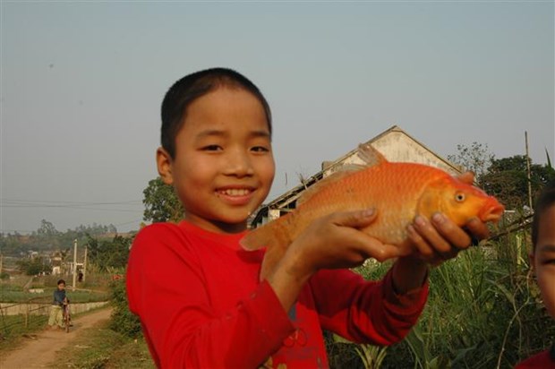 Kitchen Gods worshipping: Vietnamese traditional belief hinh anh 4