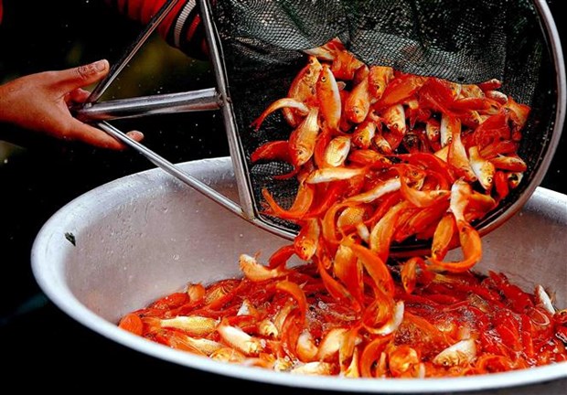 Kitchen Gods worshipping: Vietnamese traditional belief hinh anh 5