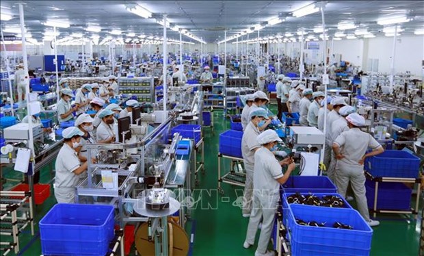Vietnamese enterprises build resilience amid pandemic hinh anh 2
