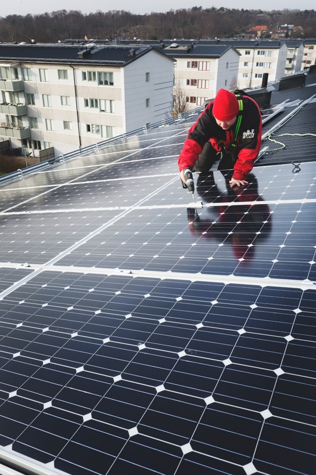 Generating power for green recovery and sustainable future hinh anh 2