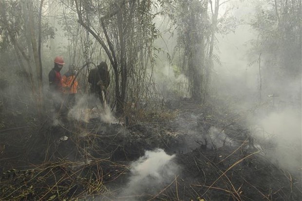 Malaysian government asks firms to control fires abroad