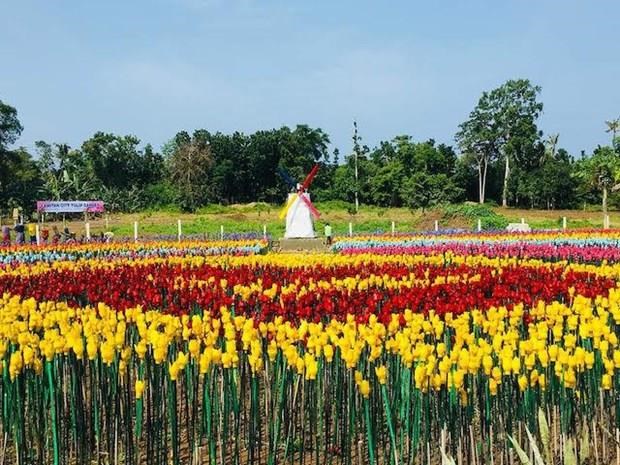 Philippine city turns plastic trash into flowers hinh anh 1