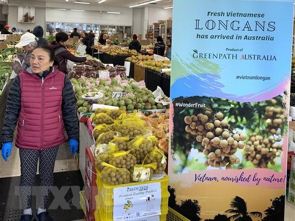 Long journey of Vietnamese fruits to Australia