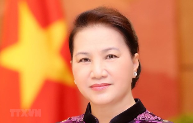 Parliamentary cooperation a new pulse for Vietnam – Russia ties: ambassador hinh anh 1