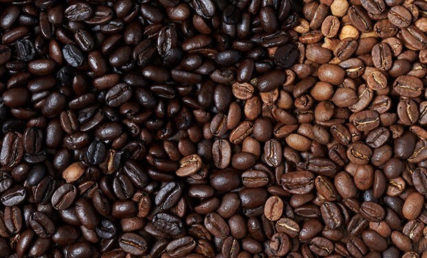 Coffee sector targets 6 billion USD in export turnover in 2020 hinh anh 1