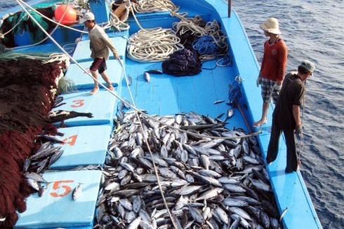 EC recognises Vietnam's improvements in combating IUU fishing