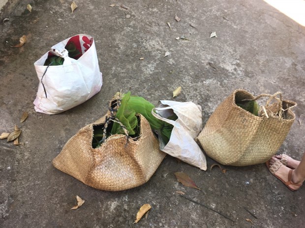 Binh Phuoc seizes rare civets transported from Cambodia hinh anh 1