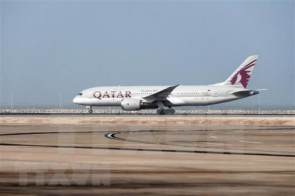 Qatar Airways plans to increase flights on Doha-Da Nang route hinh anh 1