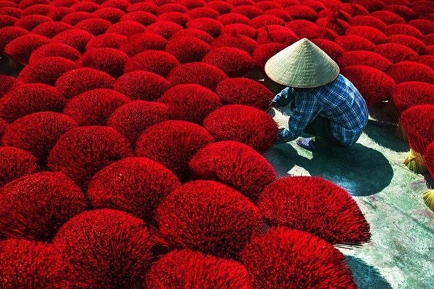 Vietnamese photographers win big at India’s photo contest hinh anh 1