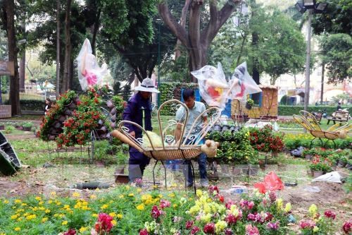 HCM City gets busy with flower festivals, markets ahead of Tet hinh anh 1