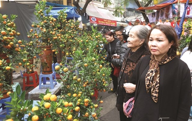 Spring in the air and the streets hinh anh 3