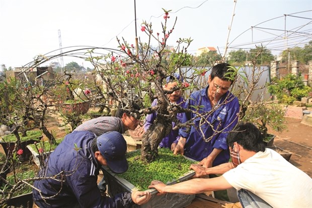 Spring in the air and the streets hinh anh 5