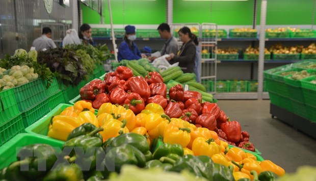 Vietnam targets $5 billion from fruit, vegetable exports in 2020