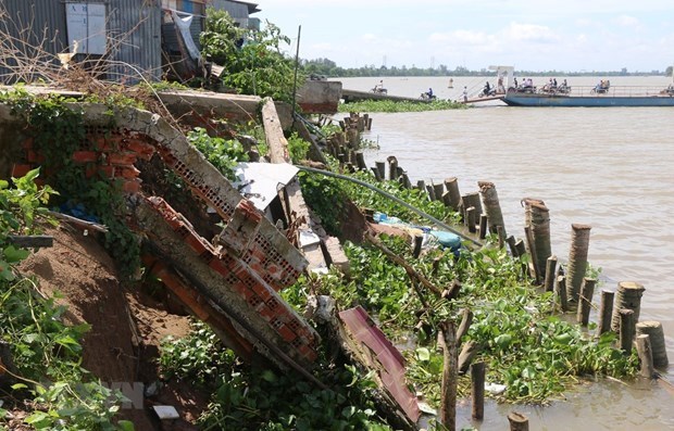 Sinking predicted for Mekong Delta region hinh anh 2