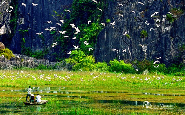 Exploring Van Long Wetland Nature Reserve in Ninh Binh