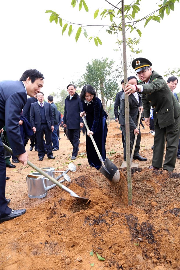 Vice President launches New Year tree-planting festival in Phu Tho hinh anh 1