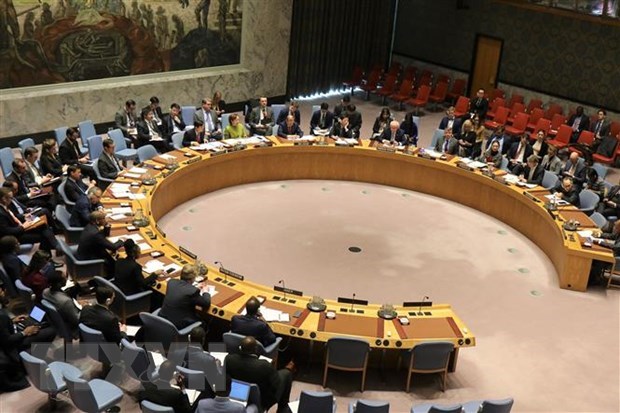 Vietnam chairs UNSC meeting on issues in Cyprus, Libya