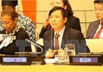 Vietnam successfully fulfils role as President of UNSC in January