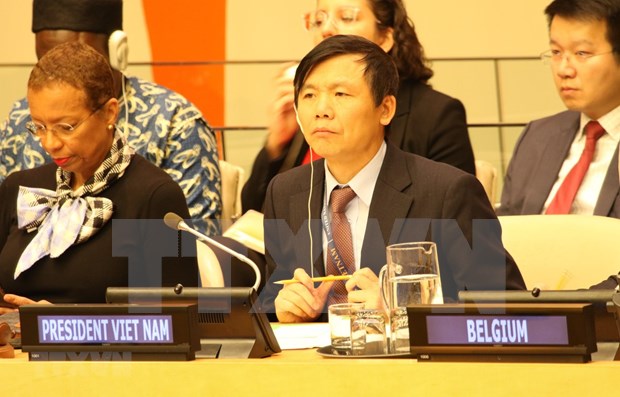 Vietnam successfully fulfils role as President of UNSC in January