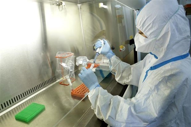 Japan helps Vietnam with rapid nCoV identification hinh anh 1