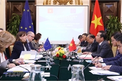 Vietnam, European Union step up cooperation