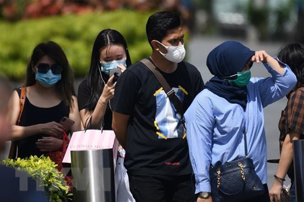 Singapore to spend 4.6 billion USD to fight virus hinh anh 1