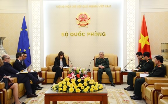 Vietnam invited to join EU training mission in Central Africa Republic hinh anh 1