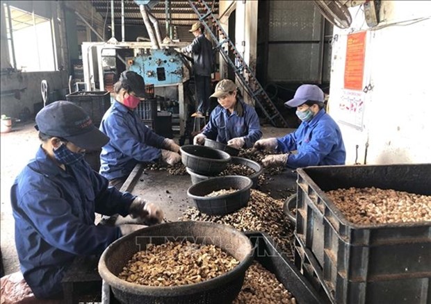 Ministry of Finance to provide legal support for SMEs hinh anh 1