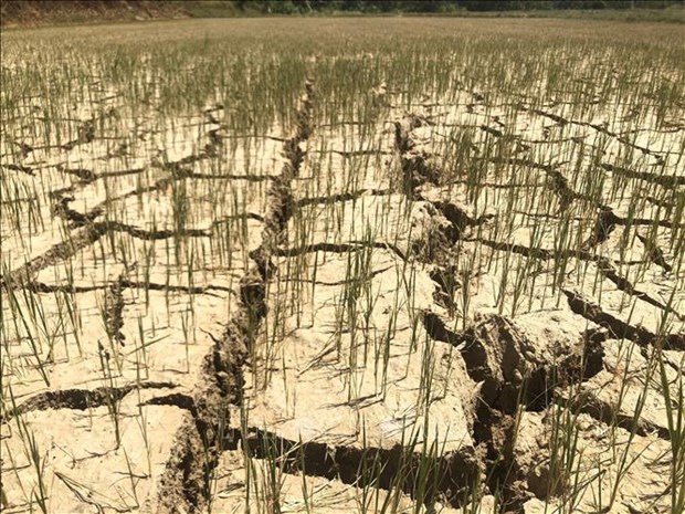 Low rainfall expected across central Vietnam over next two months hinh anh 1
