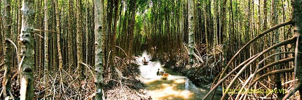 Forests in Ca Mau at high risk of fire