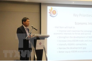 Ambassador affirms Vietnam’s resolve to fulfill ASEAN Chairmanship 2020