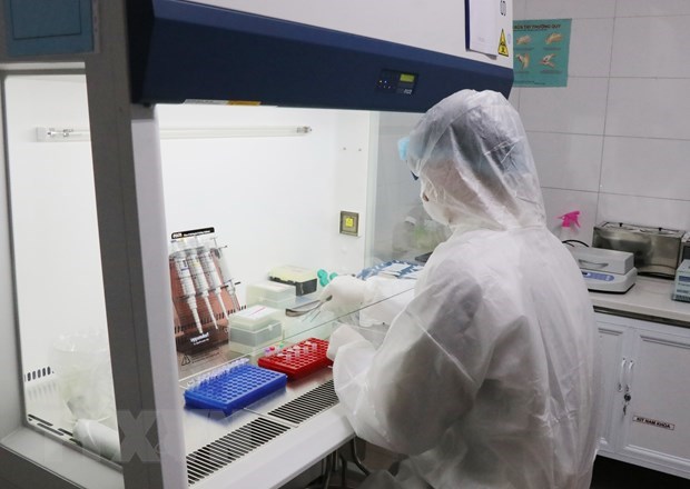 Vietnam successfully produces SARS-CoV-2 test kit hinh anh 1