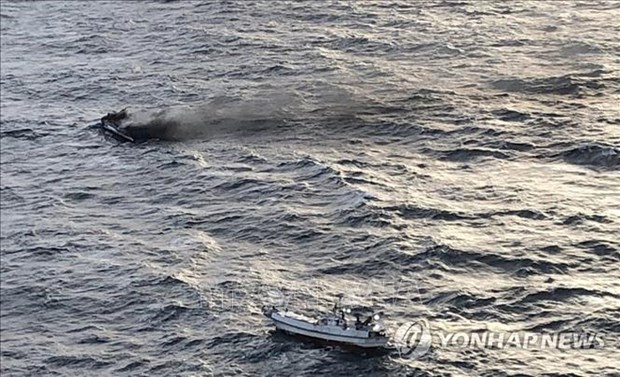 RoK confirms identities of Vietnamese sailors missing in boat mishap hinh anh 1