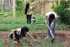 UK supports Vietnam in fight against human trafficking