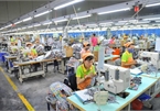 New rules to protect Vietnamese workers from abuse