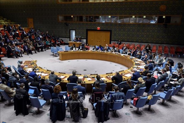 Vietnam voices concerns over terrorism, violence in Africa hinh anh 1