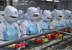 Pandemic has little impact on Vietnam’s shrimp exports
