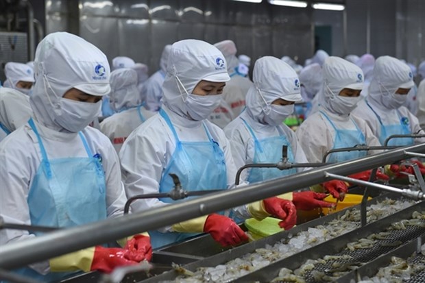 Pandemic has little impact on Vietnam’s shrimp exports