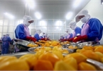 Vietnam calls for investment in fruit, vegetable processing