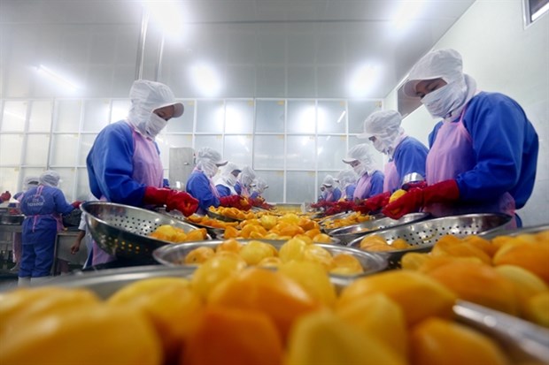 Vietnam calls for investment in fruit, vegetable processing hinh anh 1