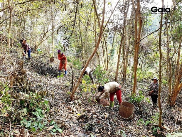 Nature reserve’s seven ha of forested habitat for endangered species restored