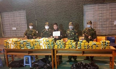 Transnational drug ring busted, 650kg of drugs seized hinh anh 1