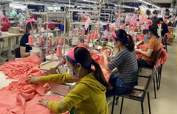 Up to 18,600 firms suspend operations in Q1 due to COVID-19 hinh anh 1