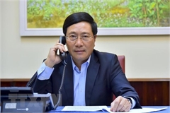 Vietnamese, Japanese FMs hold phone talks on COVID-19 combat