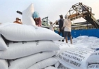 Ministry of Industry and Trade proposes resuming rice exports