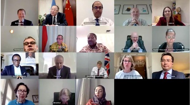 Vietnam affirms support of for peace process led by Afghanistan people hinh anh 1