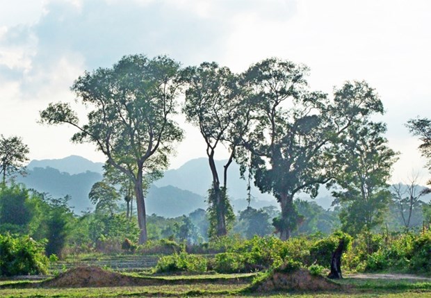 Vietnam helps Laos prepare for UNESCO recognition of national reserve hinh anh 1