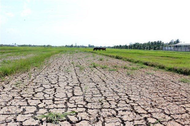 Saline intrusion in Mekong Delta likely to linger on
