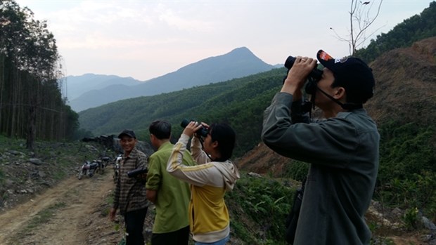 Strict patrol set for protection of endangered langurs from COVID-19 hinh anh 1