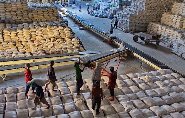 Finance Ministry proposes suspending low-grade rice exports until June 15 hinh anh 1